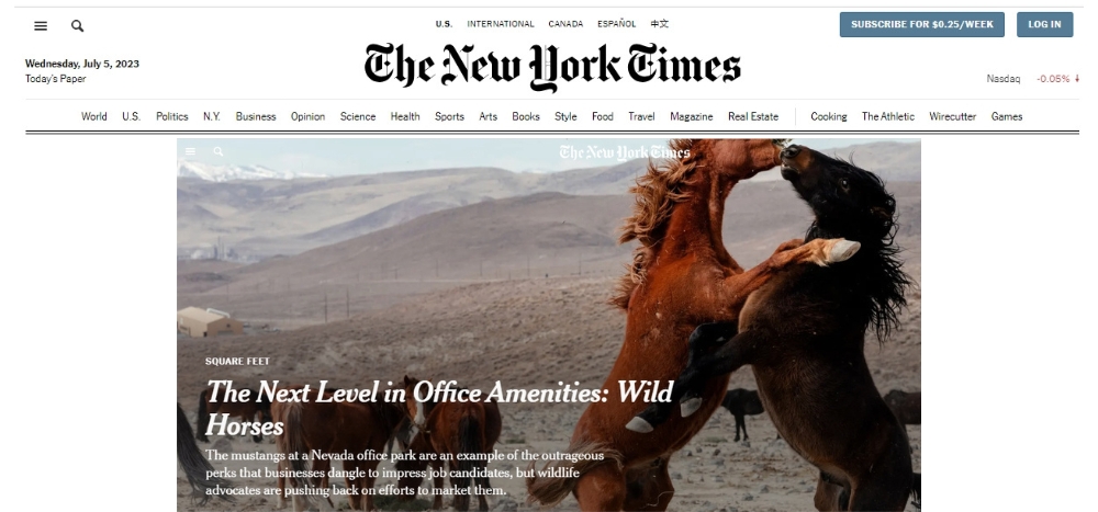 American Wild Horse Campaign in the New York Times